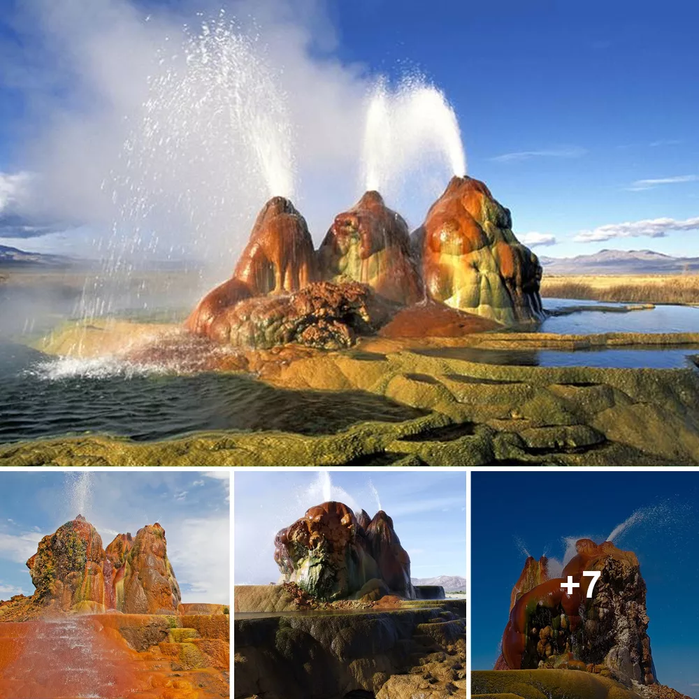 Enchanting Elegance: The Mesmerizing Charm of Nevada’s Gerlach Fly Geyser